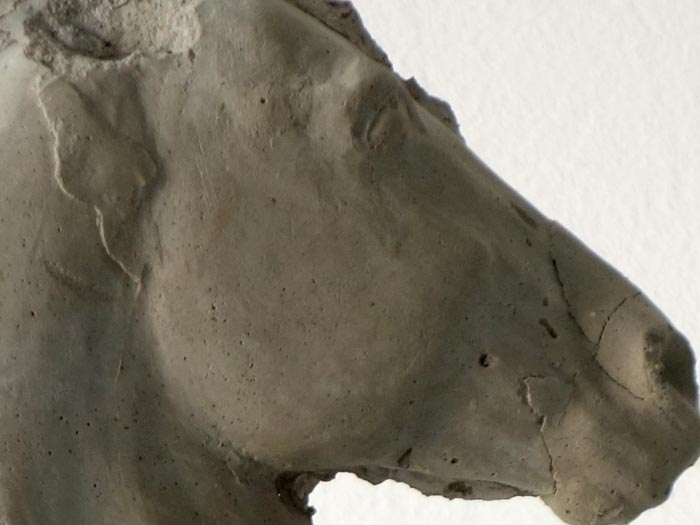 Pferdeskulptur Pferd forciert Detailstudie