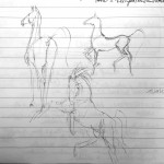 pferde-skizzen